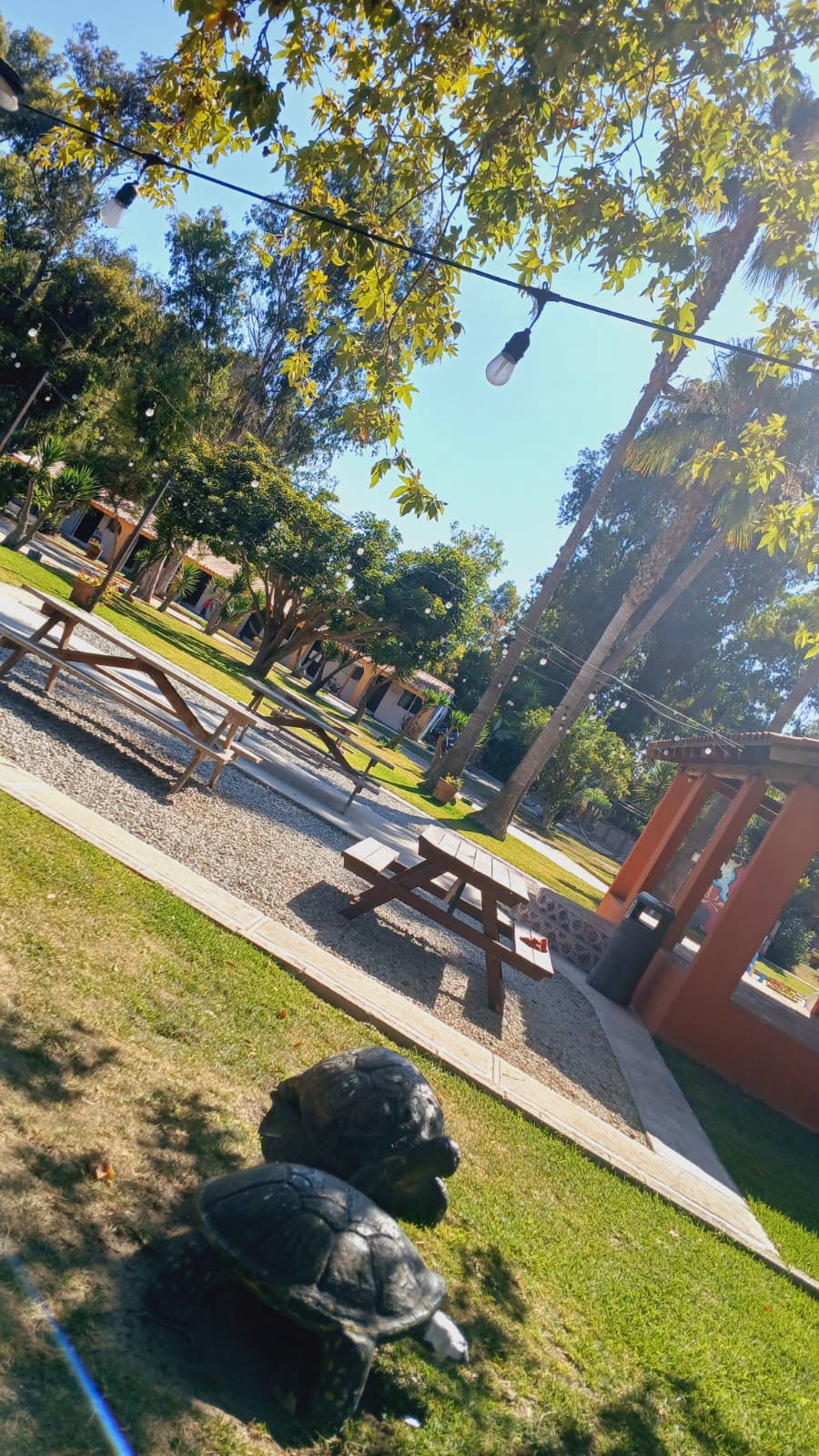 Asador y palapa para convivencia