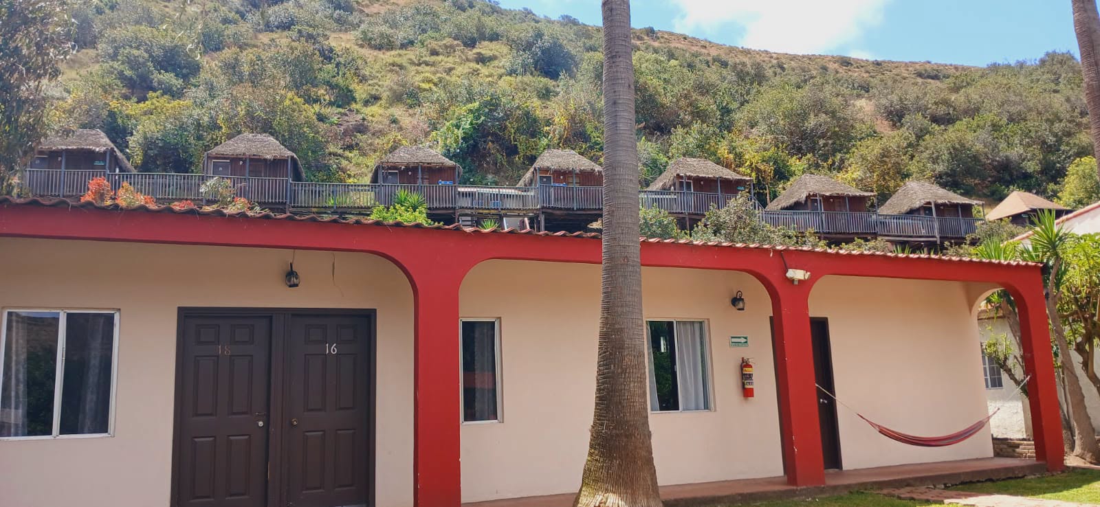 Cabaña rústica entre la vegetación